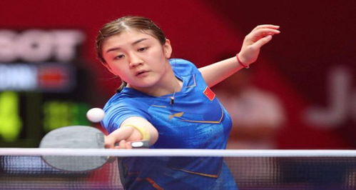 在乒乓球运 在乒乓球运