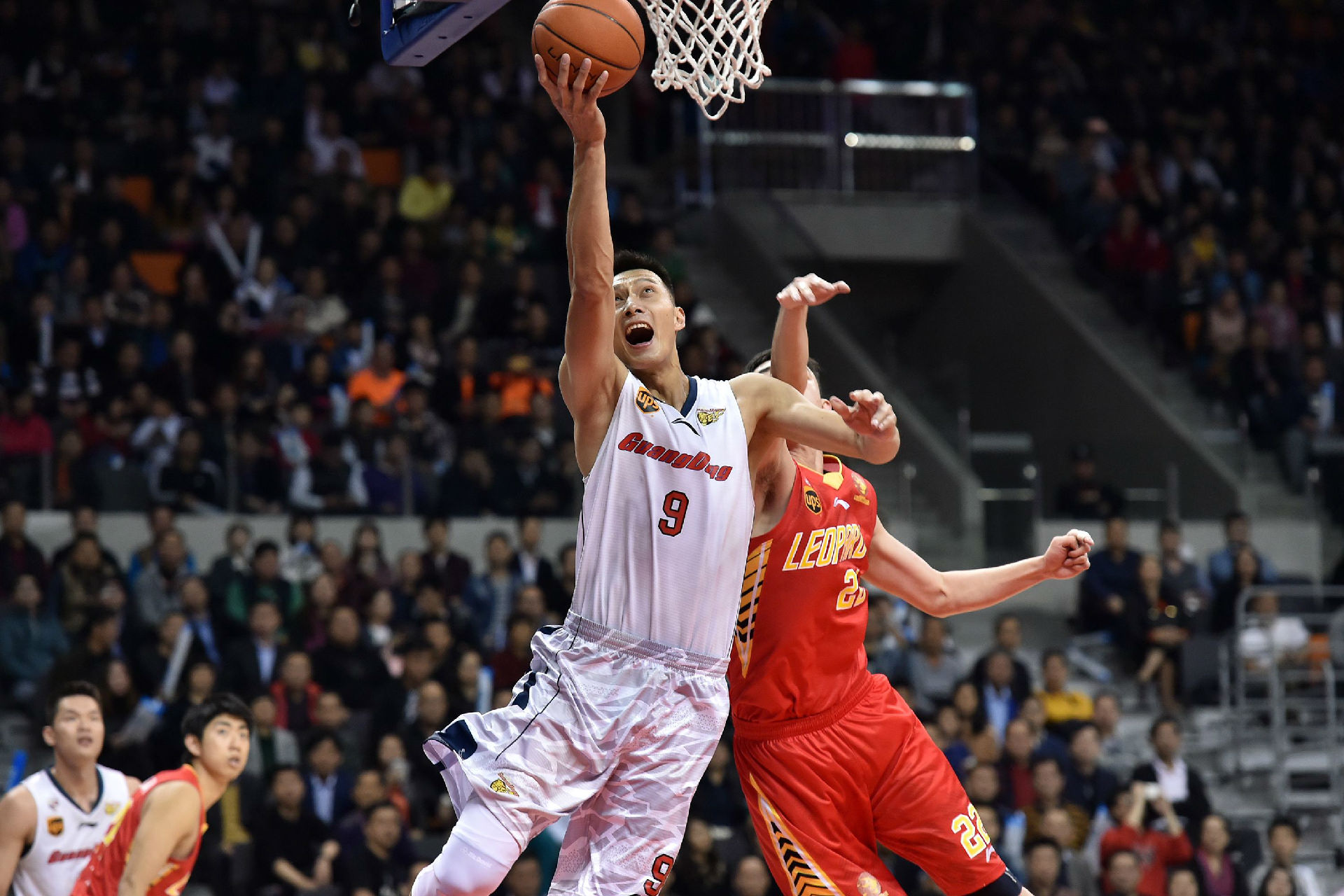 雄鹿早年在 雄鹿早年在