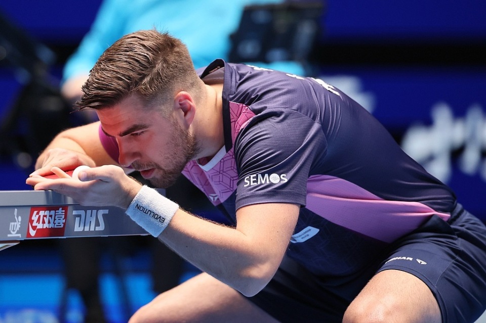 奏的生活环 奏的生活环